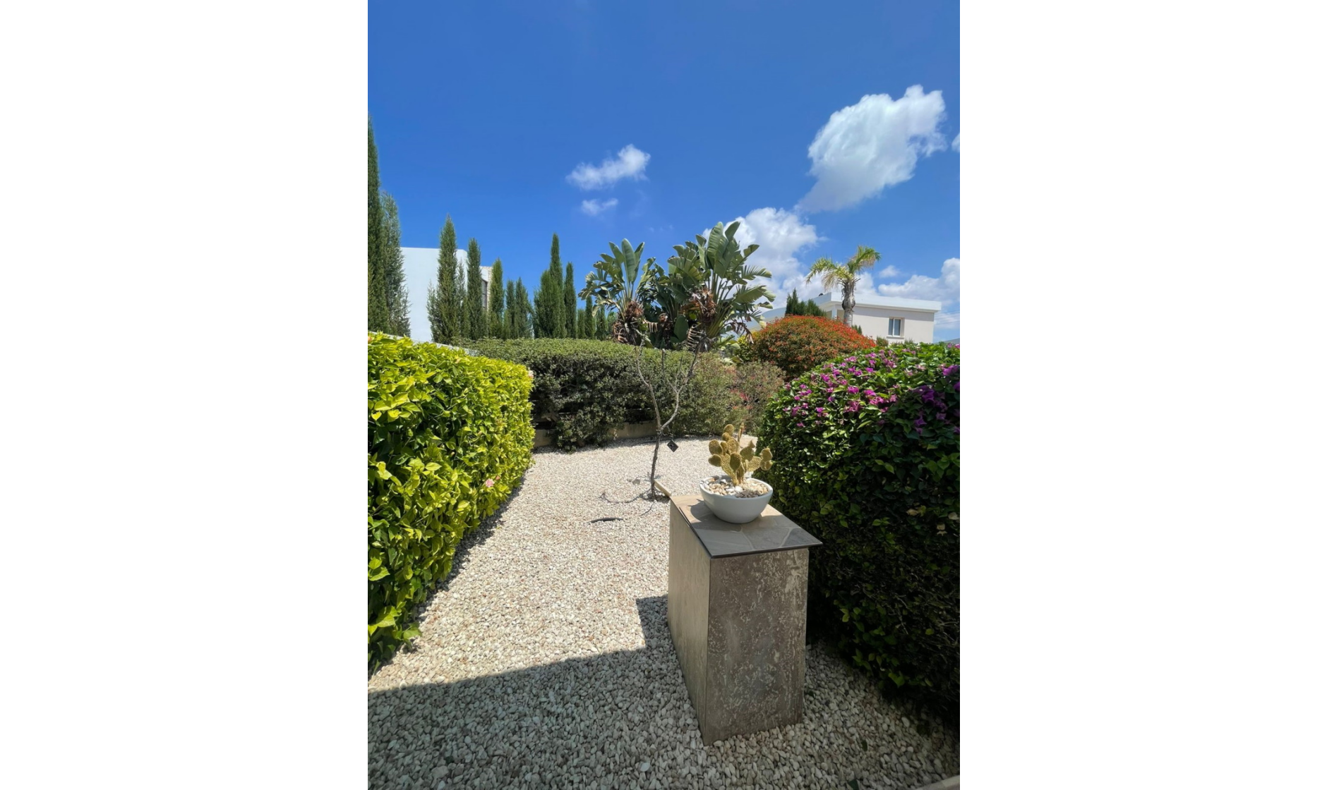 section hero slider slide background