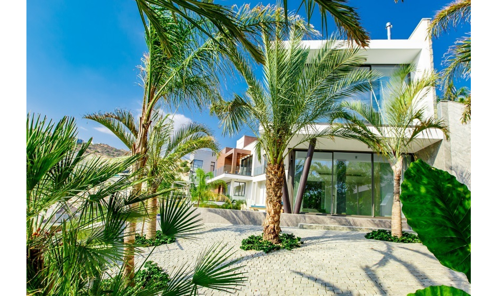 section hero slider slide background