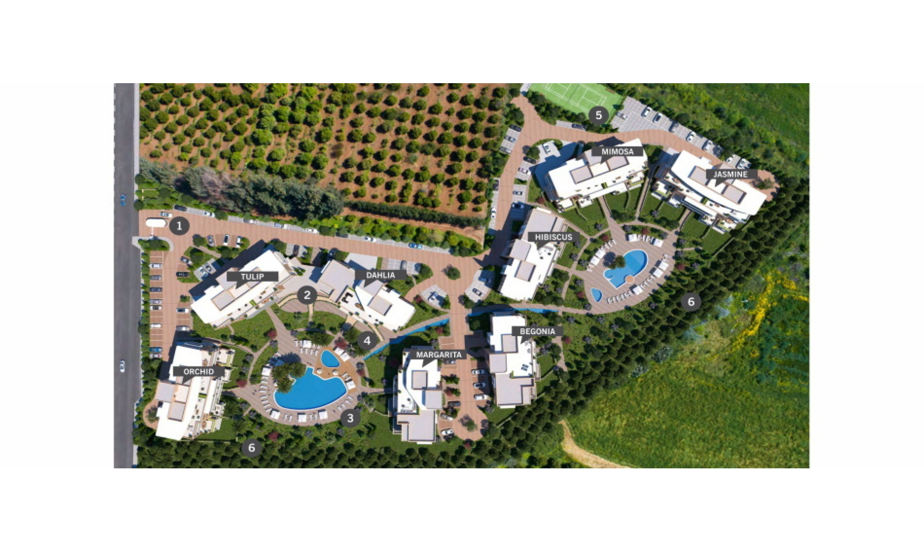 section hero slider slide background