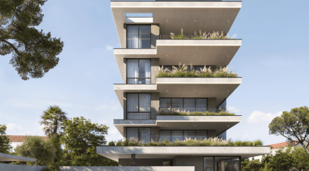 section catalog photo