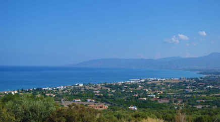 section catalog photo