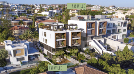 section catalog photo