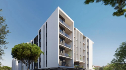 section catalog photo