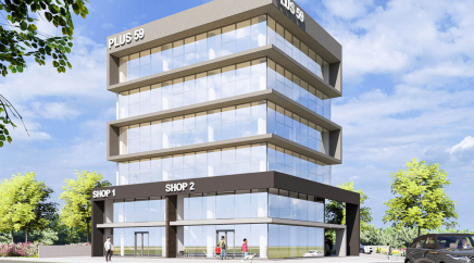 section catalog photo