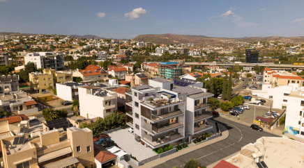 section catalog photo