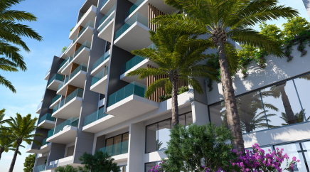 section catalog photo