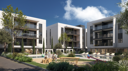 section catalog photo