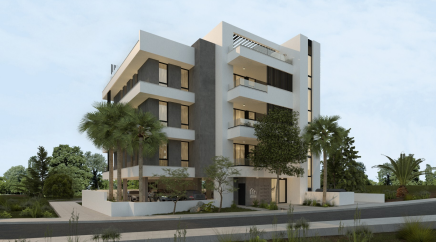 section catalog photo