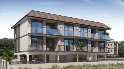 section catalog photo