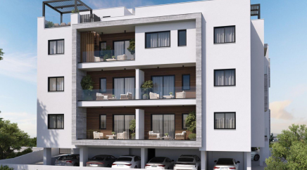 section catalog photo