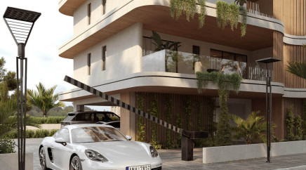 section catalog photo