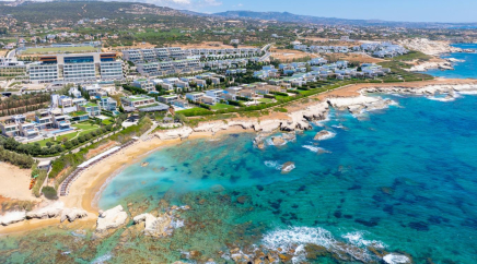 section catalog photo