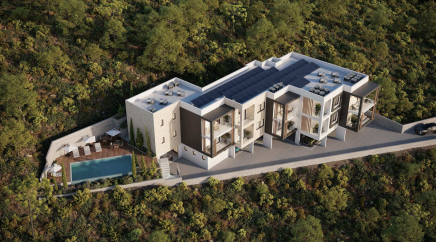 section catalog photo