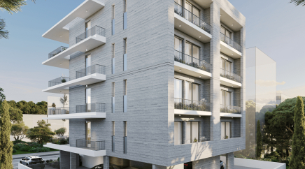 section catalog photo