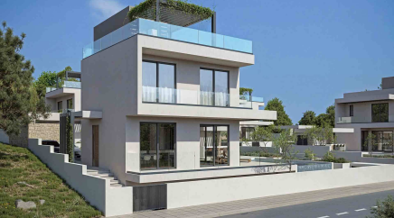 section catalog photo