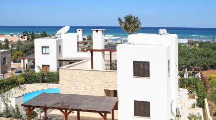 section catalog photo