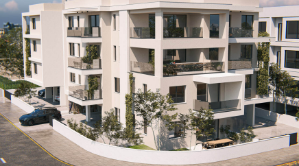 section catalog photo