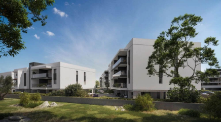 section catalog photo