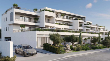 section catalog photo