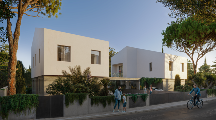 section catalog photo