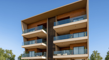 section catalog photo