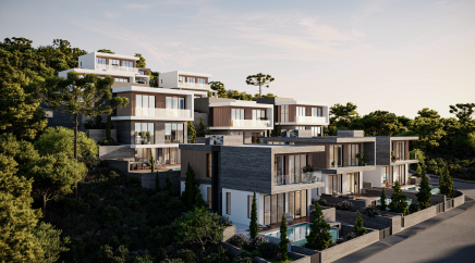 section catalog photo