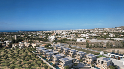 section catalog photo