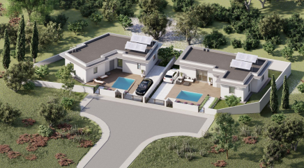 section catalog photo