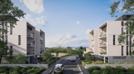 section catalog photo