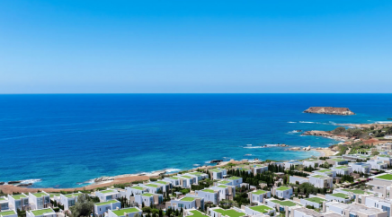 section catalog photo