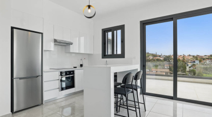 section catalog photo