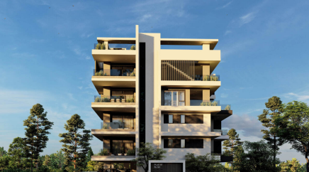 section catalog photo