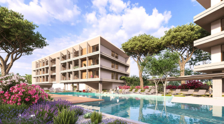 section catalog photo