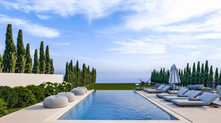 section catalog photo