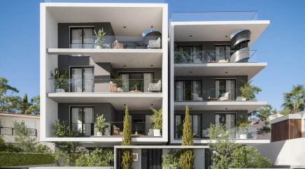 section catalog photo