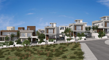 section catalog photo