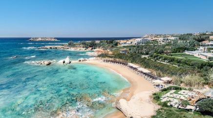 section catalog photo