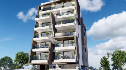 section catalog photo