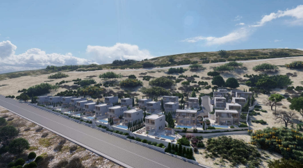 section catalog photo