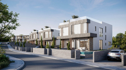 section catalog photo