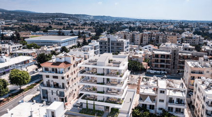 section catalog photo