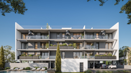 section catalog photo