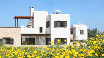 section catalog photo