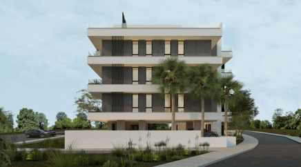 section catalog photo