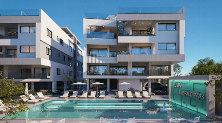 section catalog photo