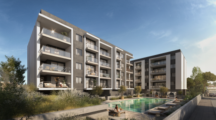 section catalog photo