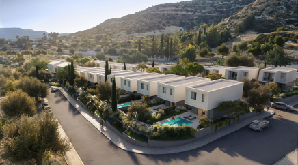 section catalog photo