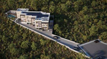 section catalog photo