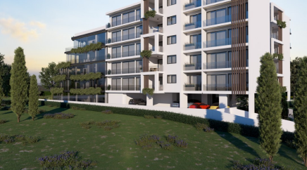 section catalog photo