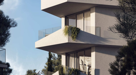 section catalog photo